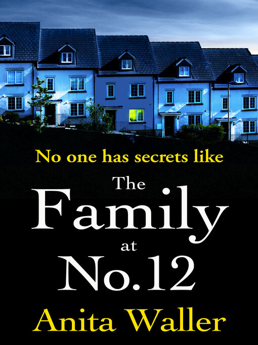 Title details for The Family at No. 12 by Anita Waller - Wait list